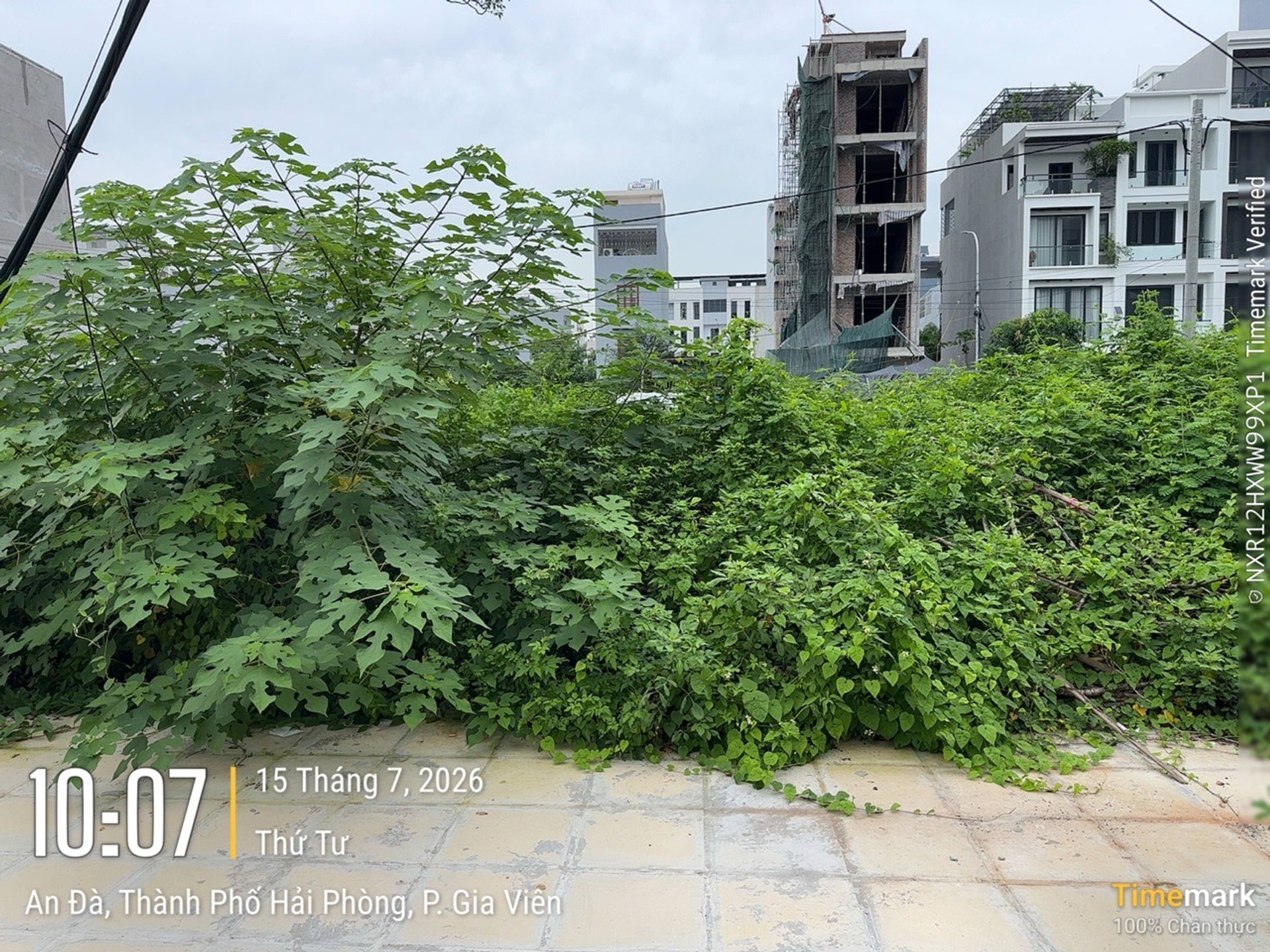 Lô đất hấp dẫn tại khu vực Lê Hồng Phong với vị trí thuận tiện