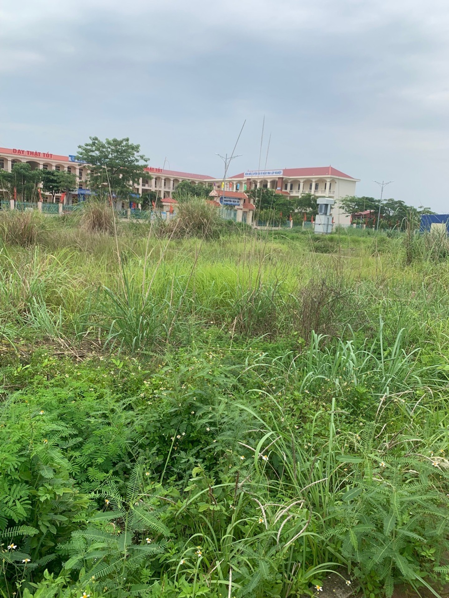 Bán đất thổ cư tại thôn 5 Thủy Sơn, Thủy Nguyên, hướng Đông Nam, pháp lý cơ sở