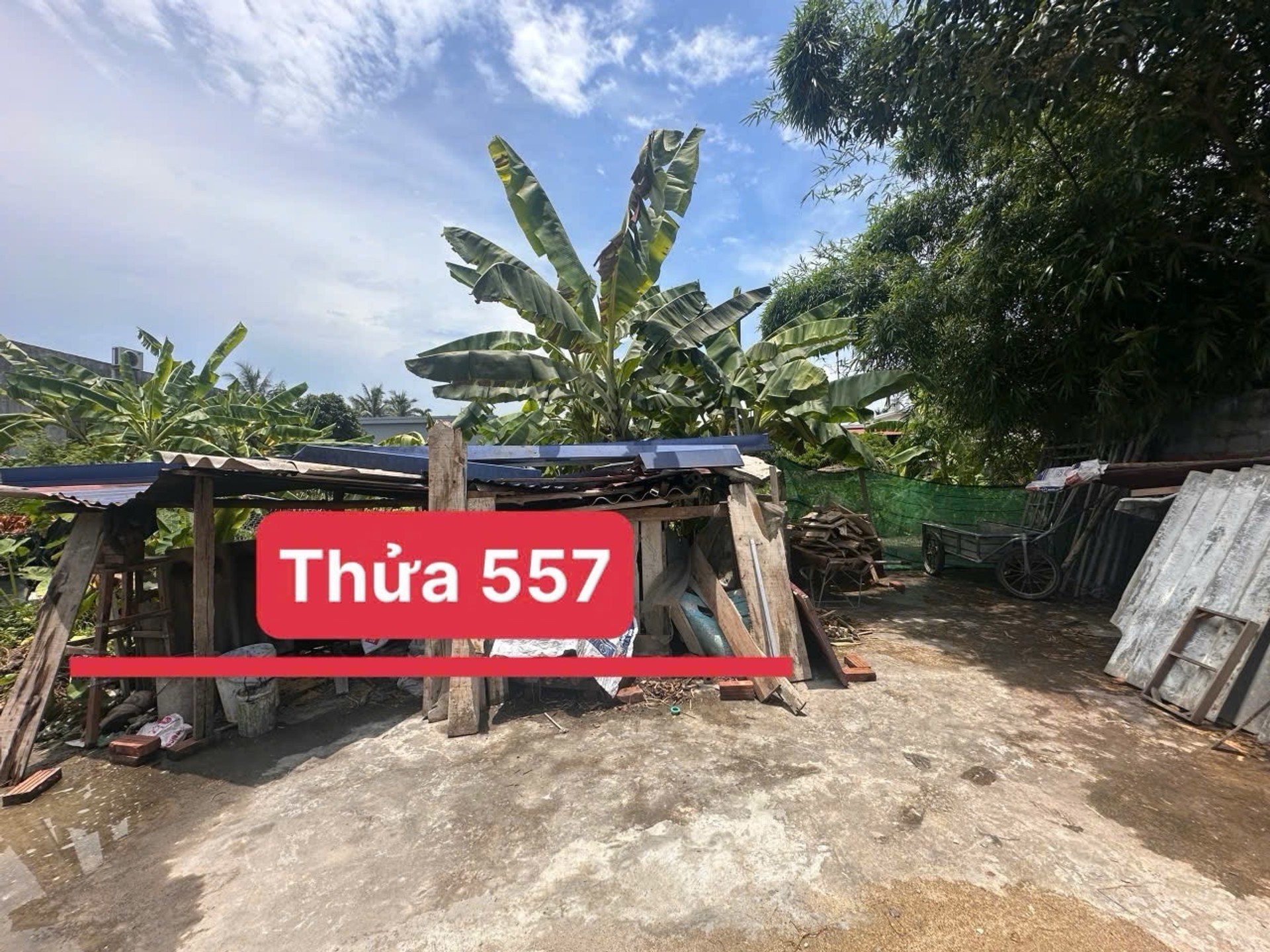 Cơ Hội Vàng Sở Hữu Đất Trung Tâm Bát Trang, An Lão Giá Đầu Tư Hiếm Có