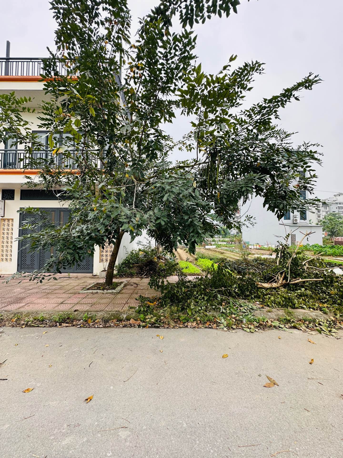 Bán đất phân lô khu đô thị Long Phương Trang Hạ, diện tích 110m², mặt tiền 5.5m