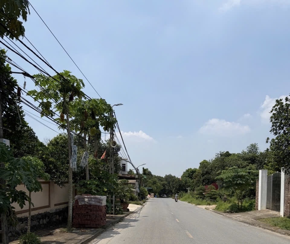 Đất Xinh Núi Chè – ô tô vào tận nơi, view cực chill