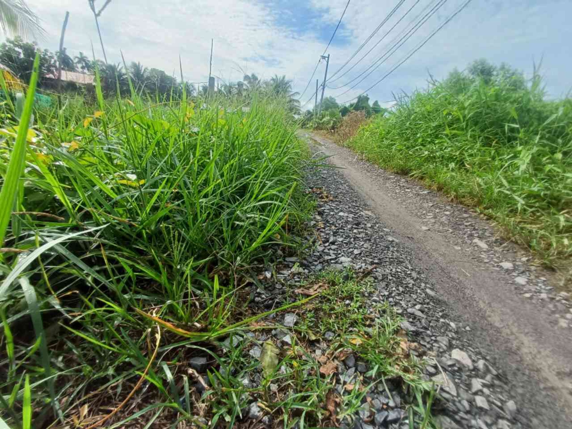 Bán đất rộng 1000m2 hướng Tây Nam, giá 3 tỷ đồng