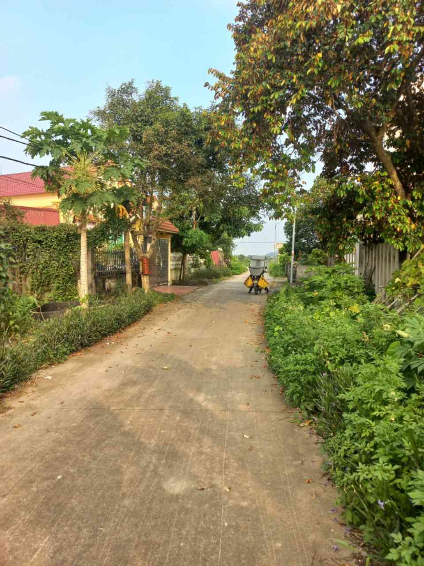 Cơ hội sở hữu đất ô tô qua nhà tại An Thái, An Lão Hải Phòng - Vị trí đắc địa đáng giá đầu tư ngay
