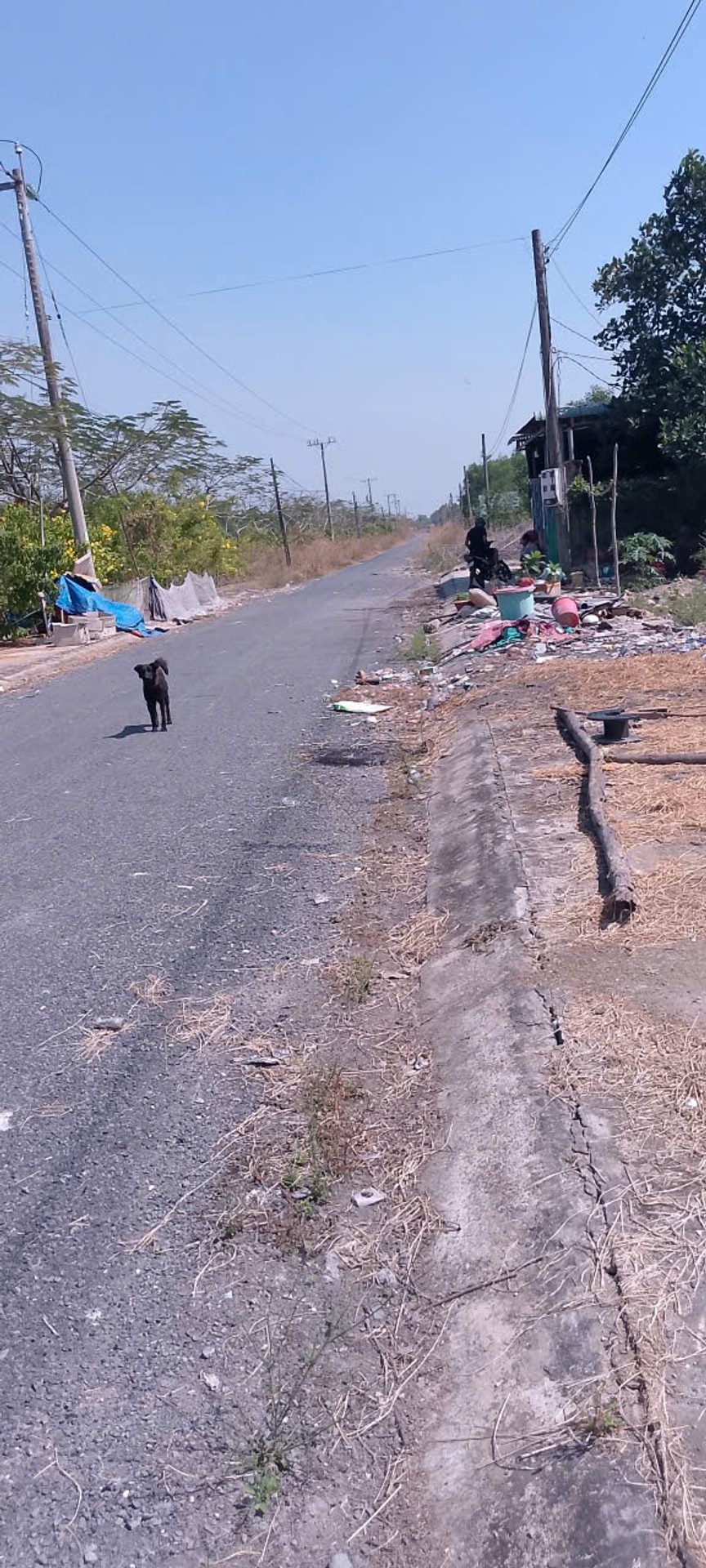 Bán đất 564m2 mặt tiền 10m tại Mỹ Thạnh Tây, Long An giá 3,3 tỷ