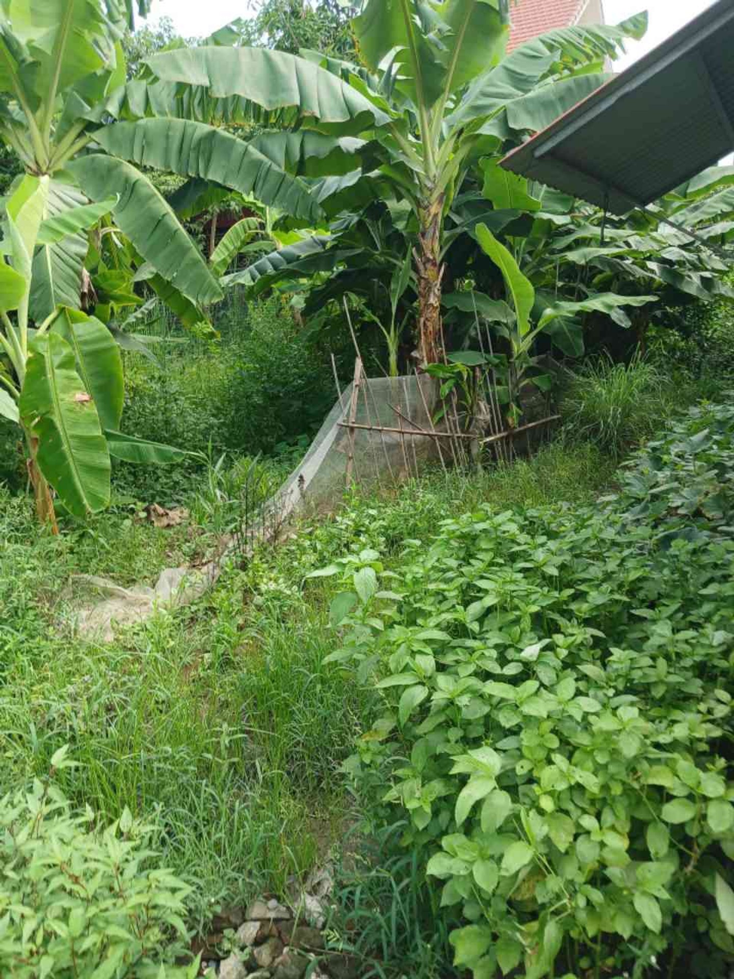 Mảnh đất 100m2 hướng Bắc tại Minh Tân, Kiến Thụy, tiếp giáp đường ô tô rộng rãi