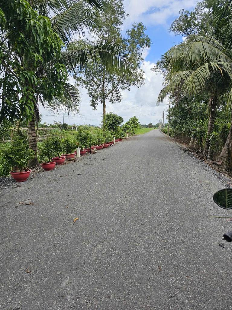 Bán đất thổ cư 5583m2 mặt tiền 35m tại Bình Lợi, Bình Chánh