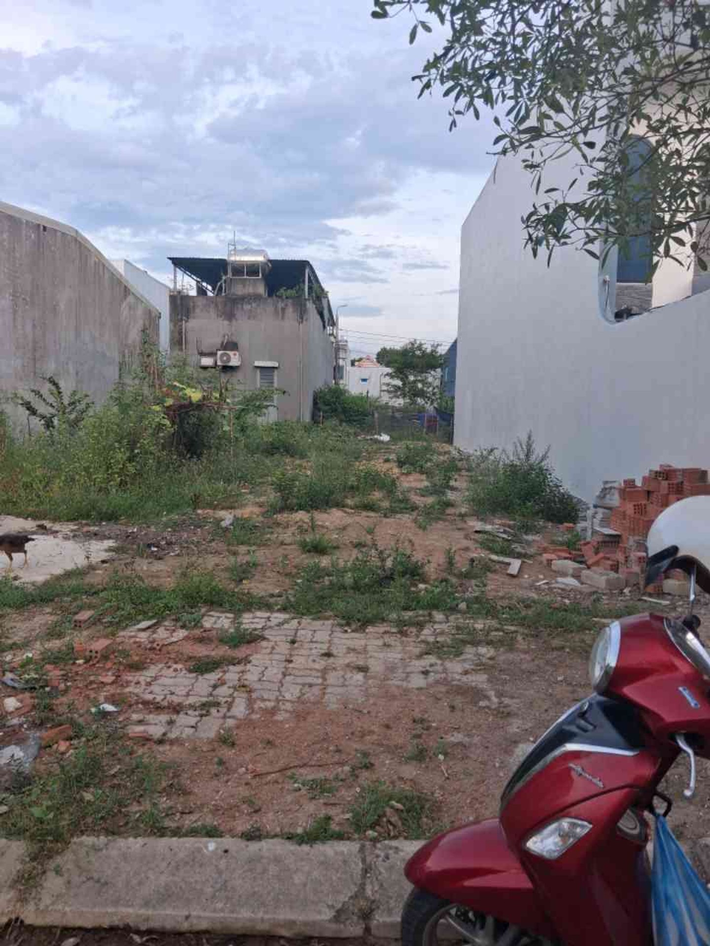 🌳 ĐẤT TÁI ĐỊNH CƯ HÒA LIÊN 5 – 100M² – GIÁ 3 TỶ 🔥