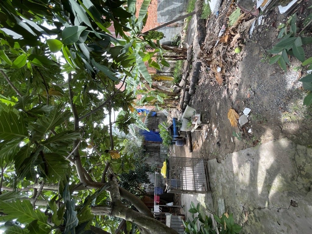 Bán nhà riêng 1 tầng rộng 181m2 tại xã Lê Minh Xuân Bình Chánh