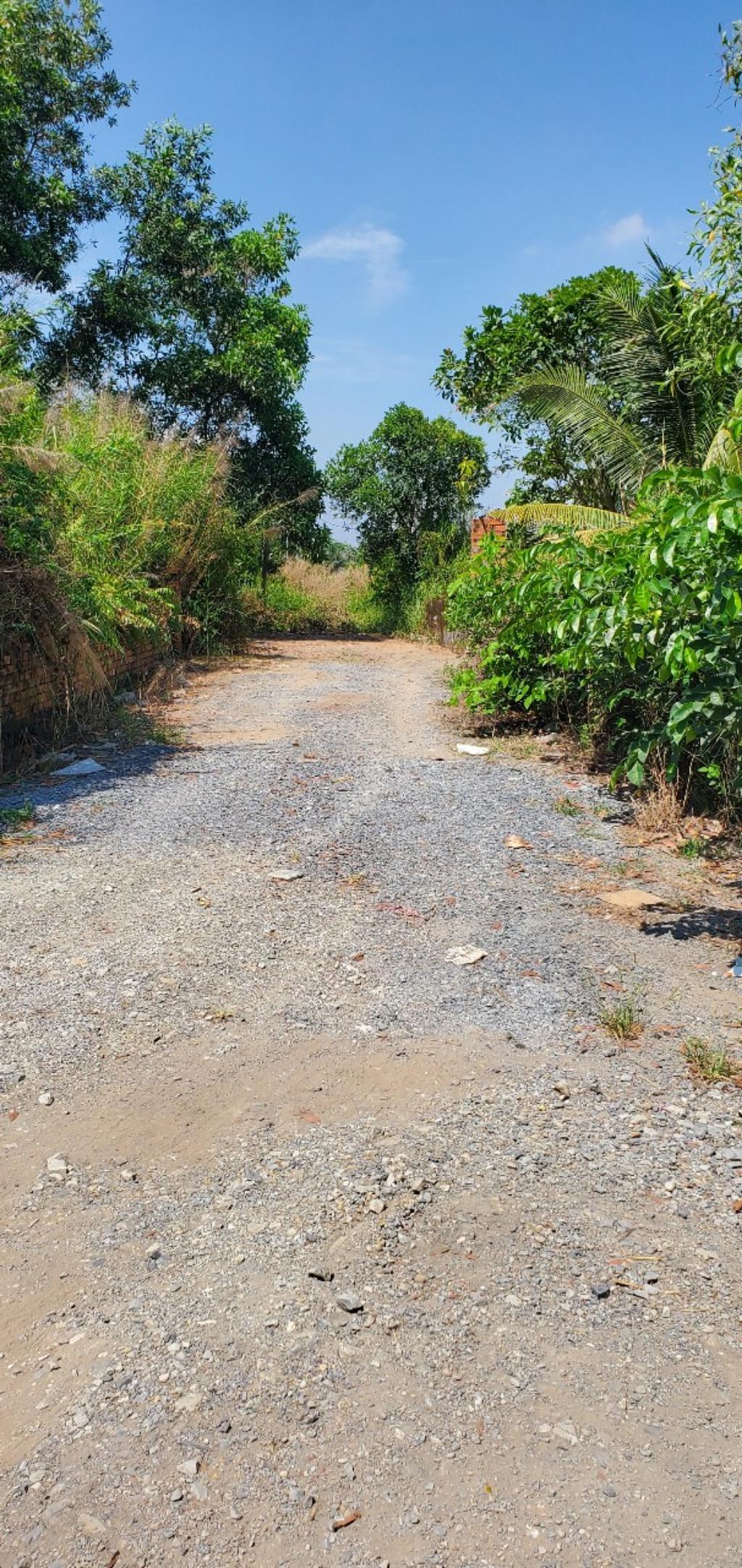 Bán đất 1000m2 tại Bình Lợi giá 2,3 tỷ còn thương lượng