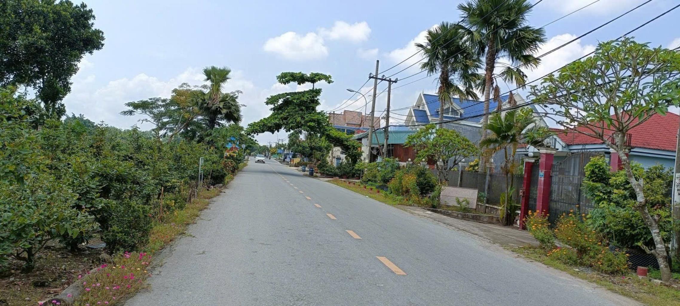 Bán đất 1000m2 khu dân cư xã Bình Lợi, giá 2.3 tỷ thương lượng