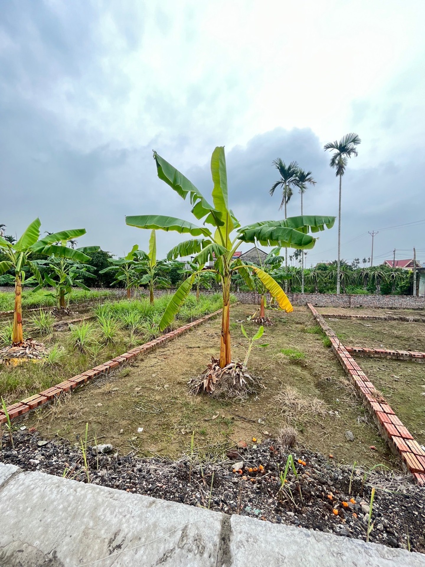 Đất nền khu công nghiệp Tràng Duệ với vị trí tiếp cận thuận tiện