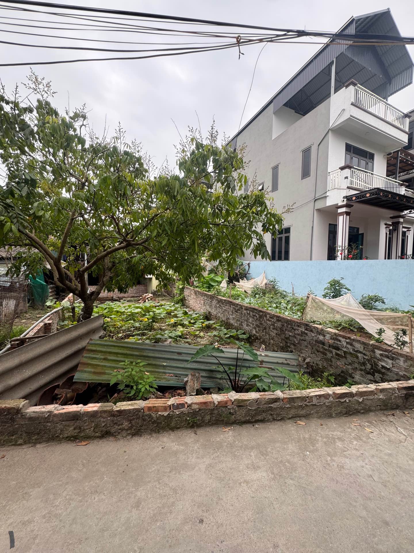 ĐẤT NGỌC HỒI NGÕ THÔNG , Ô TÔ , NGAY SÁT GA , DƯỜNG VÀNH ĐAI 3.5