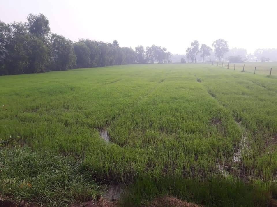 Bán đất mặt tiền 40m, diện tích lớn tại Hòa Khánh, Đức Hòa