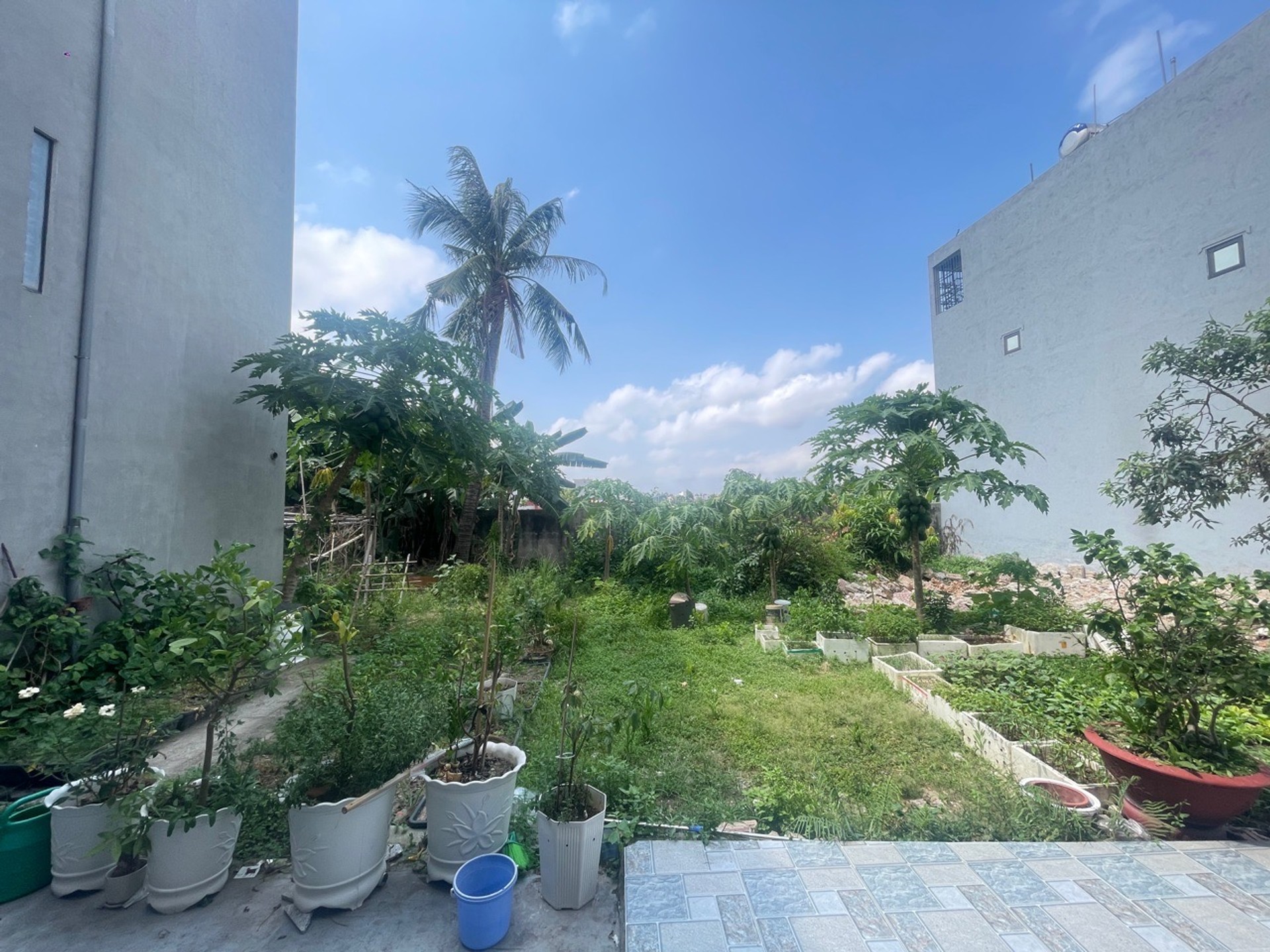 Lô đất hướng Nam 76m² tại khu vực Ngô Gia Tự đang phát triển