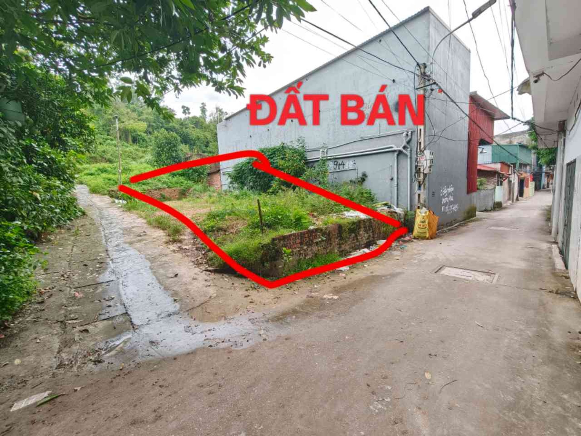 Siêu Phẩm Lô Góc Đất Thôn Móng, Đại Đồng, Bắc Ninh - Cơ Hội Vàng Cho Nhà Đầu Tư