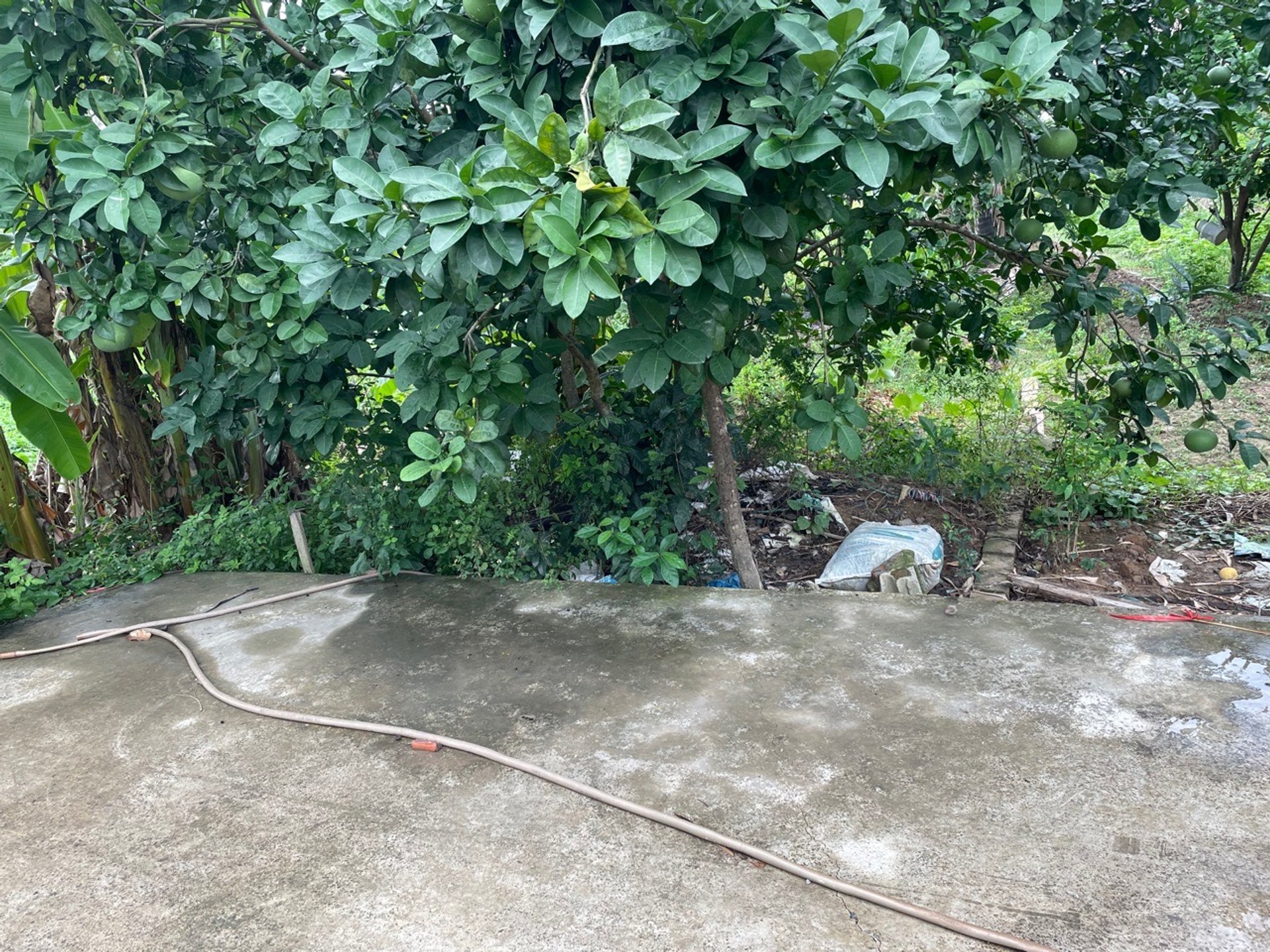Lô Đất Vàng Giữa Lòng Thôn Hầu Cực Chill