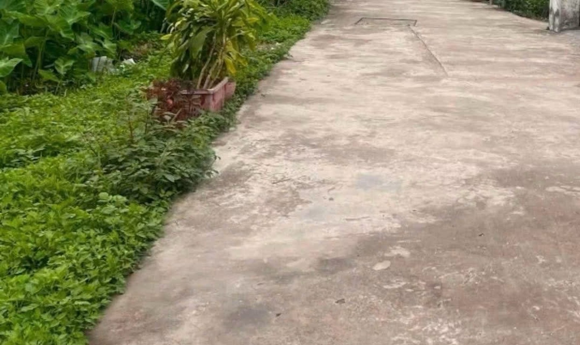 Cơ Hội Sở Hữu Lô Đất Vị Trí Vàng Gần Tái Định Cư Tràng Cát