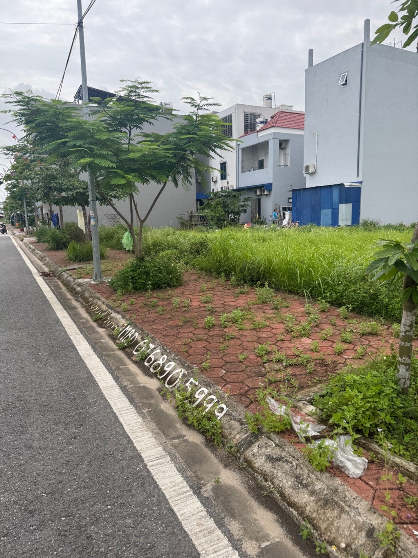 Cơ Hội Vàng Sở Hữu Đất Vị Trí Vàng TĐC Hoa Động, Tiềm Năng Tăng Giá Đáng Giá