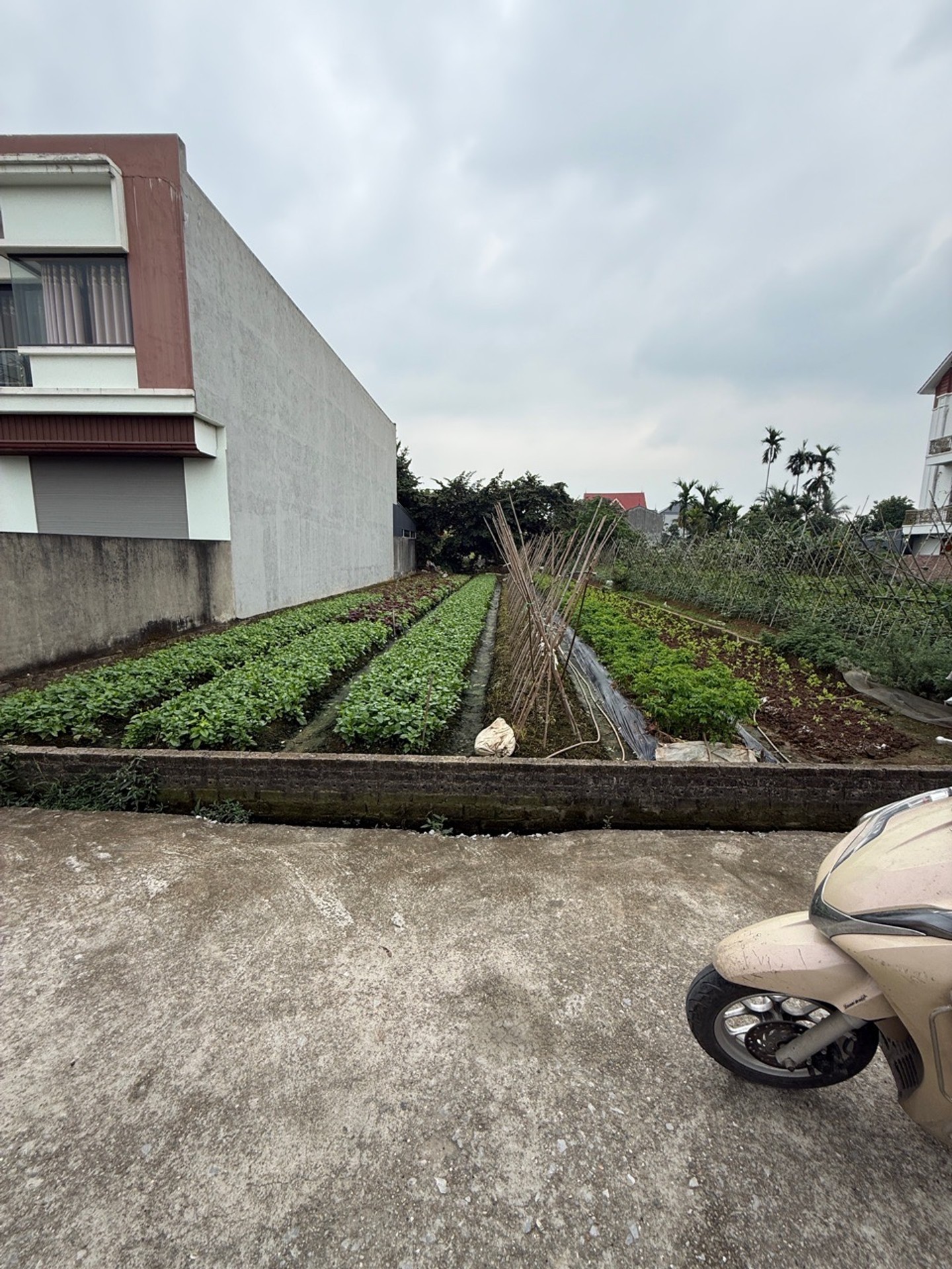 Mảnh Đất Vuông Đẹp, Ô Tô Vào Ngõ Thông, Phù Hợp Đầu Tư Tại Mai Kỳ Sơn