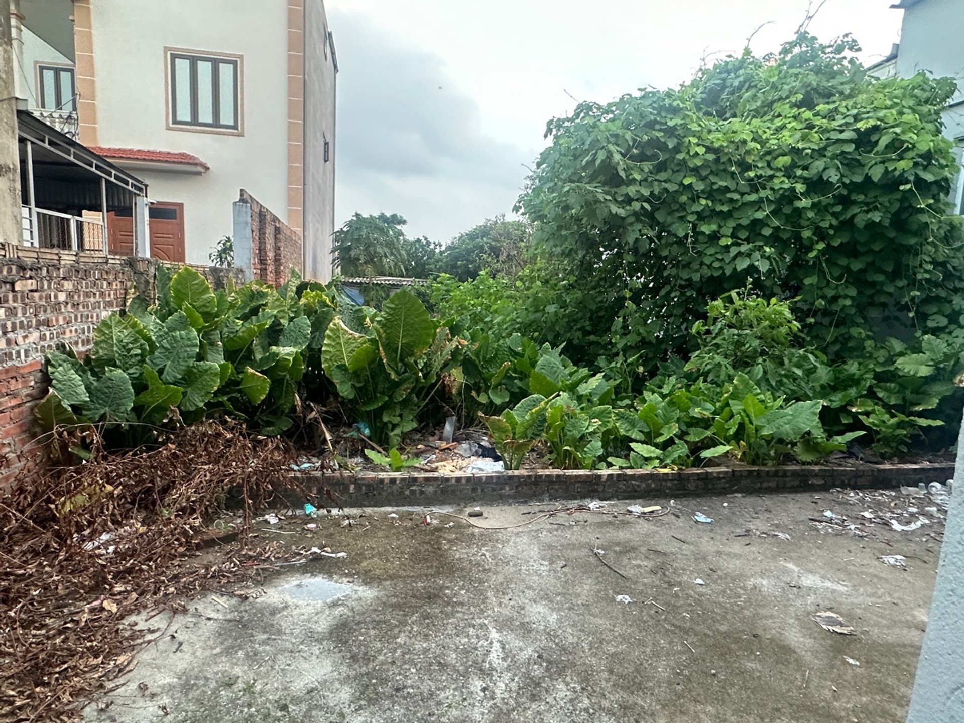 Đất Vàng Kim Hồ Lệ Chi - Cơ Hội Vàng Đầu Tư
