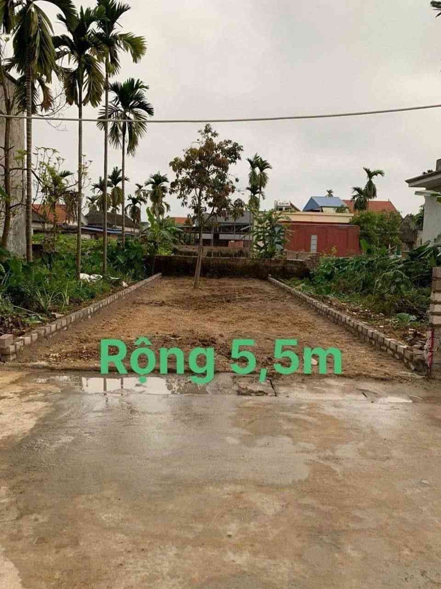 Lô Đất Vàng Đón Đầu Phát Triển Thủy Nguyên