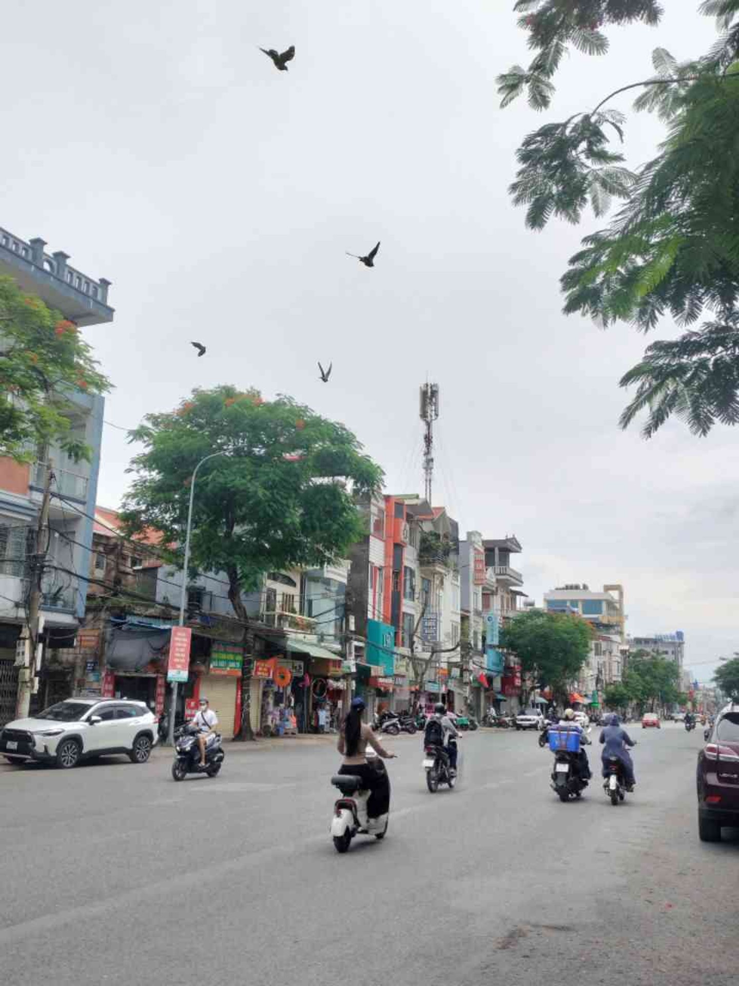 Nhà phố ba tầng riêng tư đẳng cấp tại trung tâm Đà Nẵng