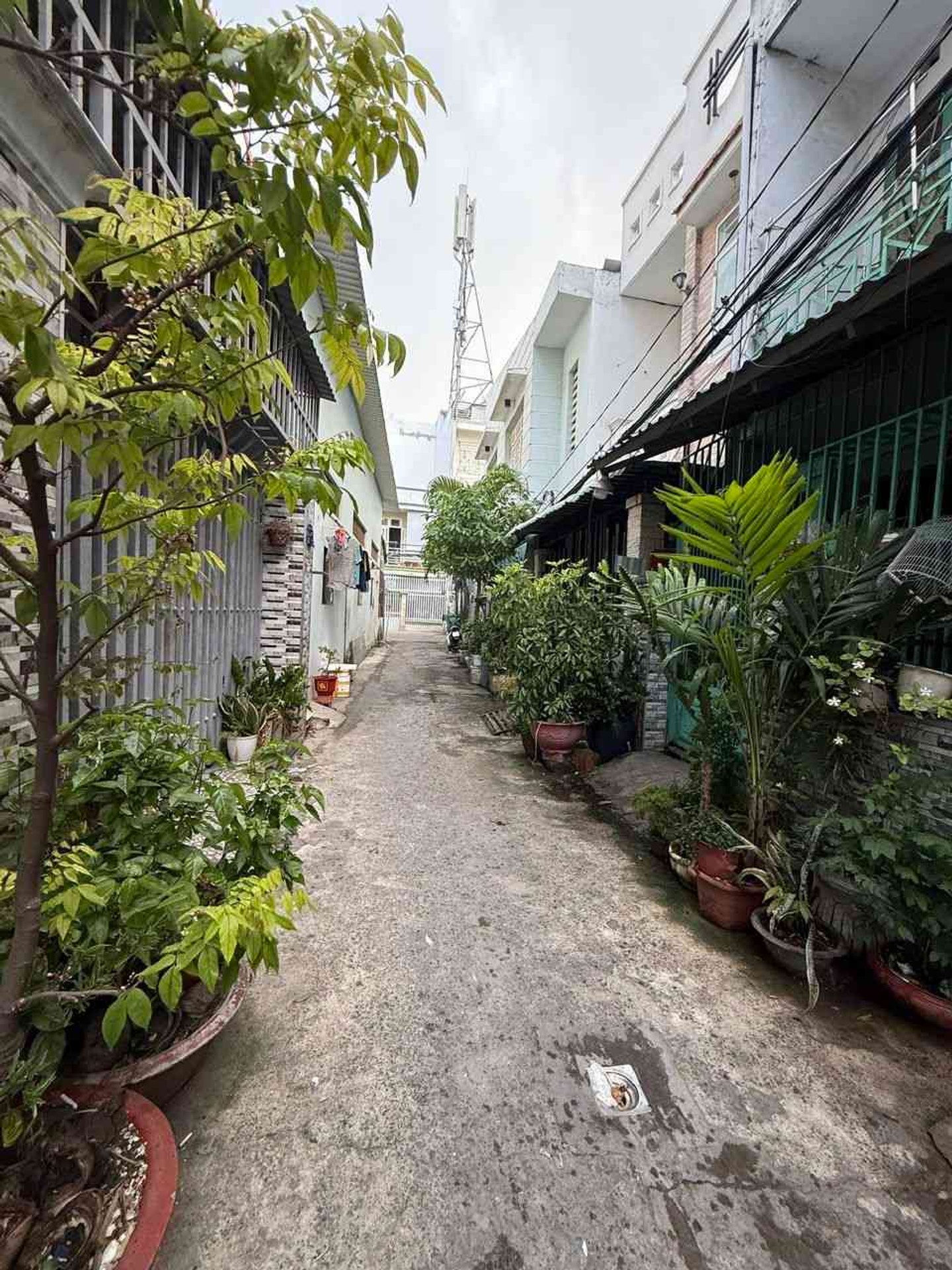 🏡 ( QUẬN 7 ) NHÀ ĐẸP FULL NỘI THẤT CAO CẤP – 2 TẦNG –2PN

👉 GIÁ CHỈ 4,65 TỶ
📐 3.1m x 13.8m