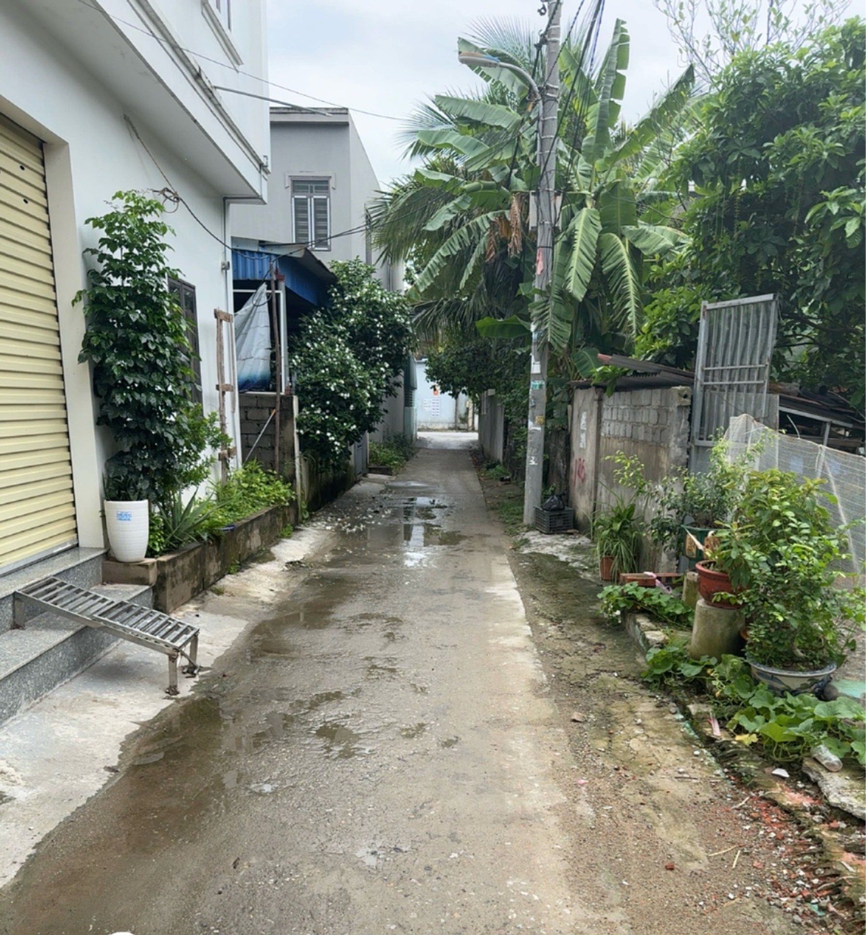 Bán đất Phúc Hải diện tích 43m2, vị trí đẹp, cách trung tâm nhanh