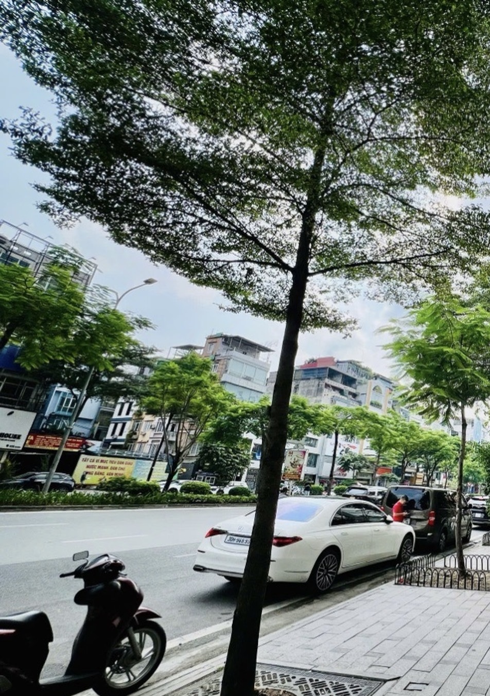 Nhà mặt phố Xã Đàn 5 tầng mặt tiền 7m, giá tốt, cơ hội đầu tư sinh lời ngay
