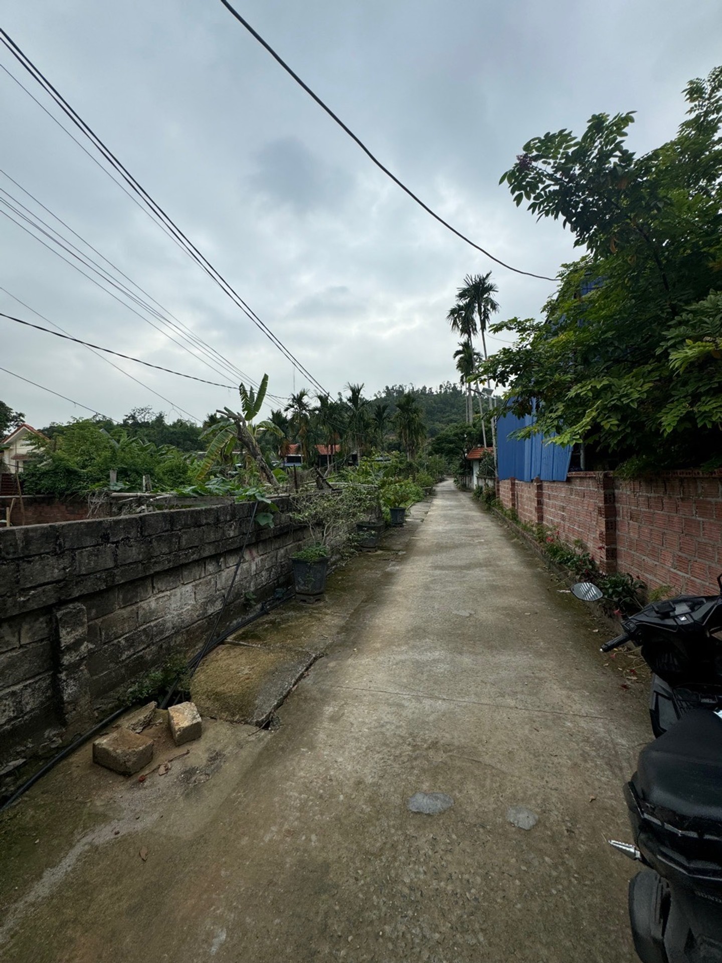 Sở hữu ngay lô đất đẹp view rộng tại Thủy Nguyên