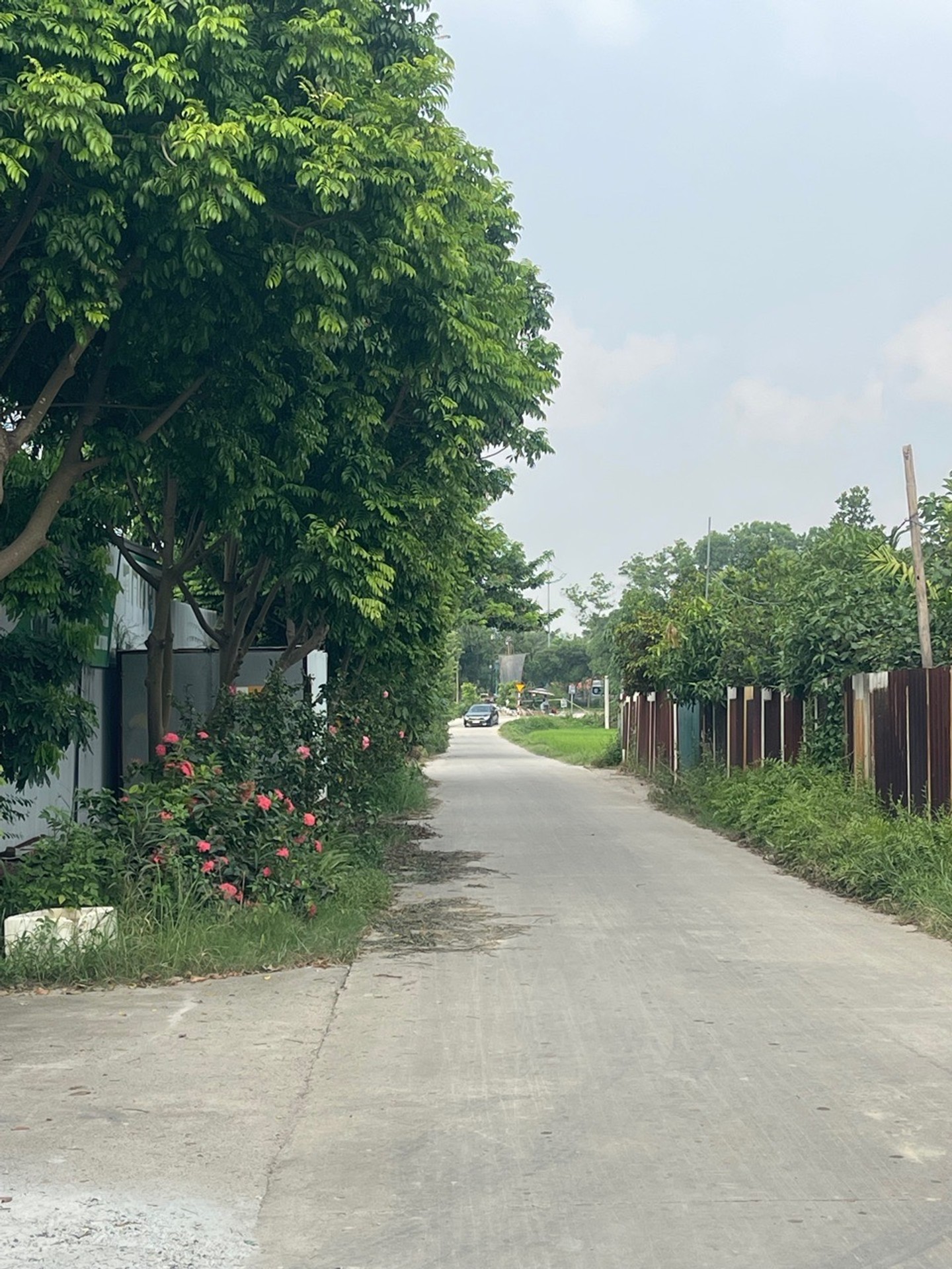 Cơ hội sở hữu đất thổ cư mặt tiền rộng ngay phường Phú Minh, Sóc Sơn