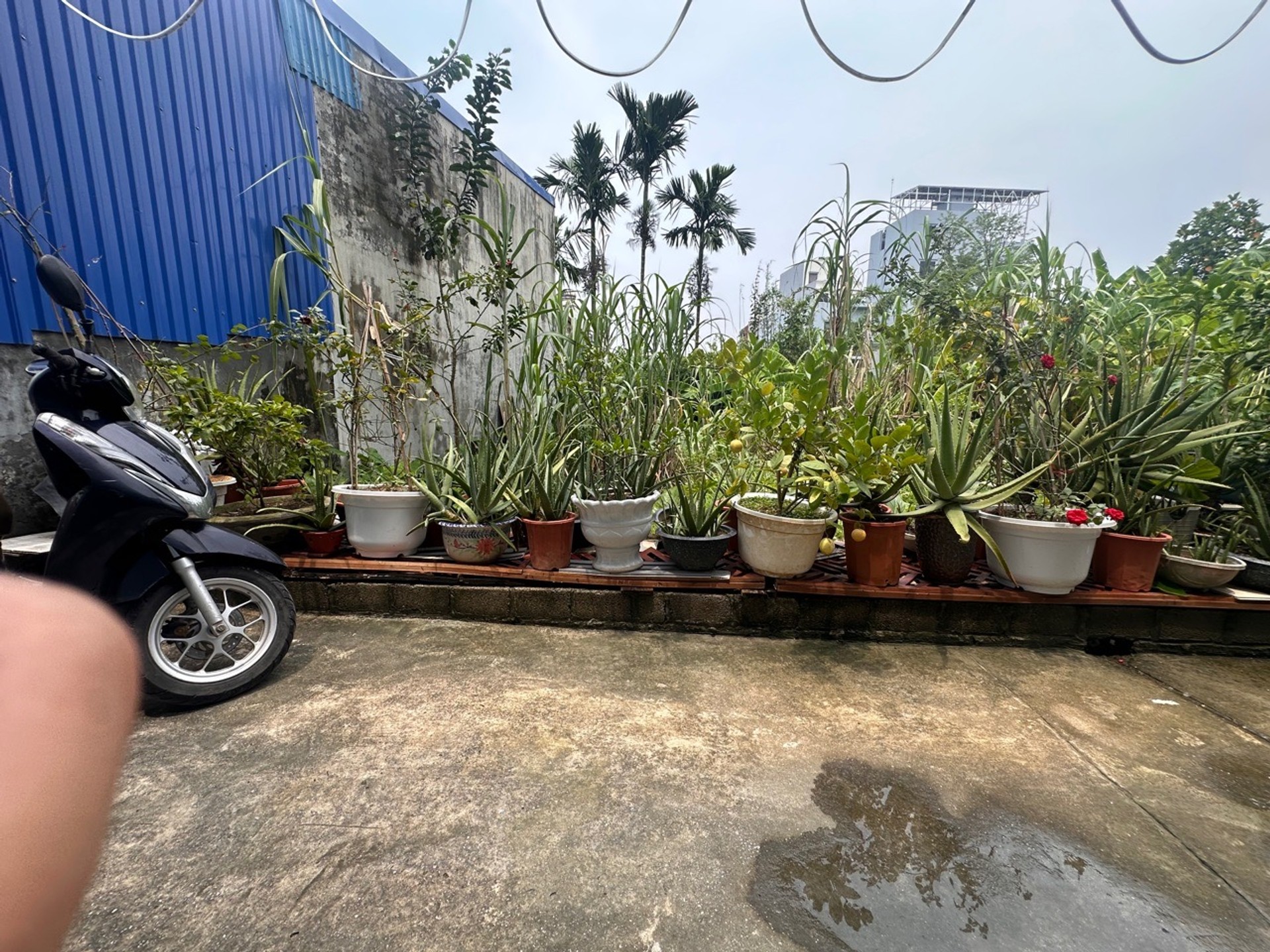 Đất trung tâm Kiến An, vị trí đầu tư siêu tiềm năng