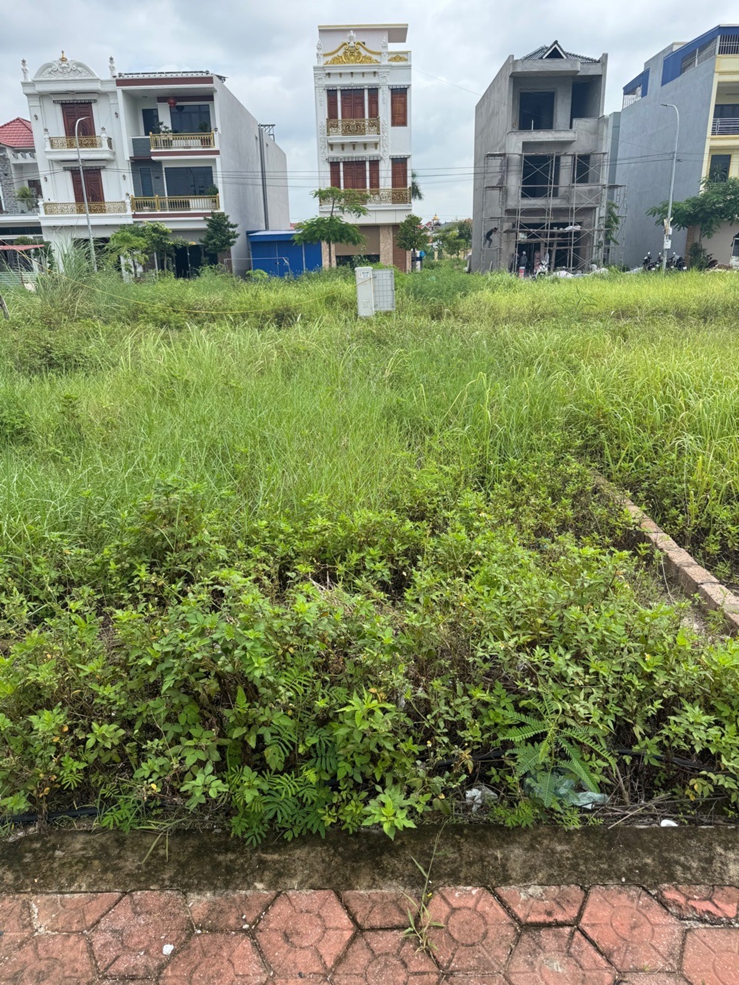 Lô đất tái định cư khu B trung tâm hành chính Hải Phòng