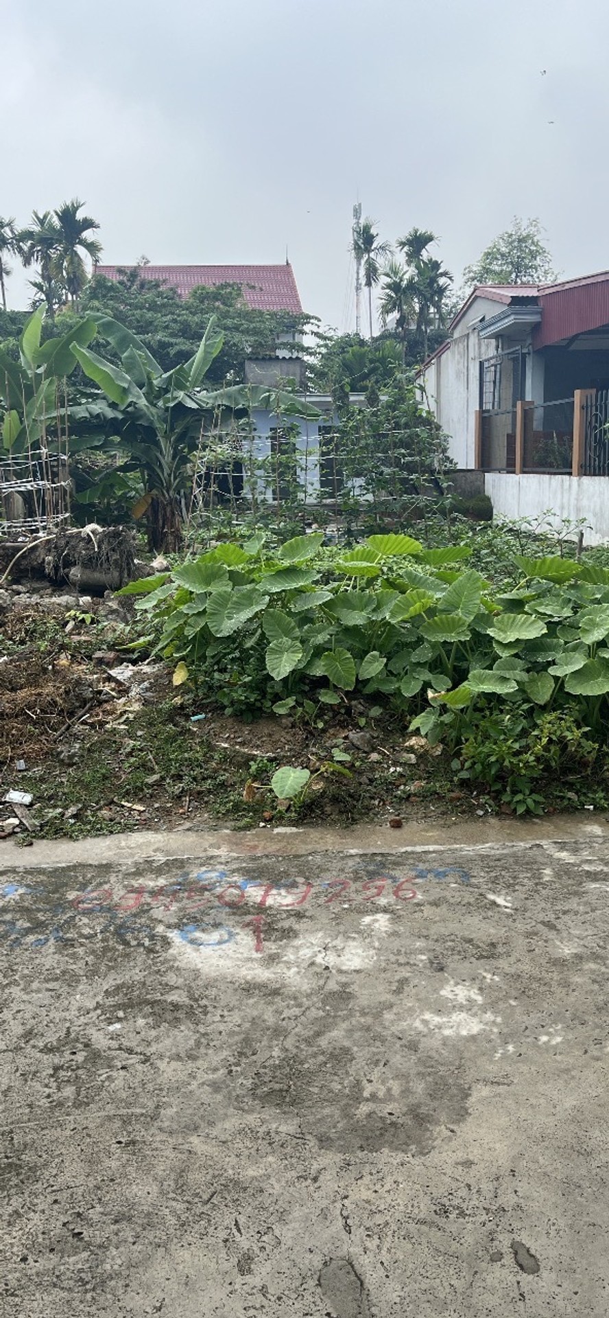 Mảnh đất rộng 197m² mặt tiền 8m ngay cạnh KCN Namura mở ra cơ hội đầu tư hấp dẫn