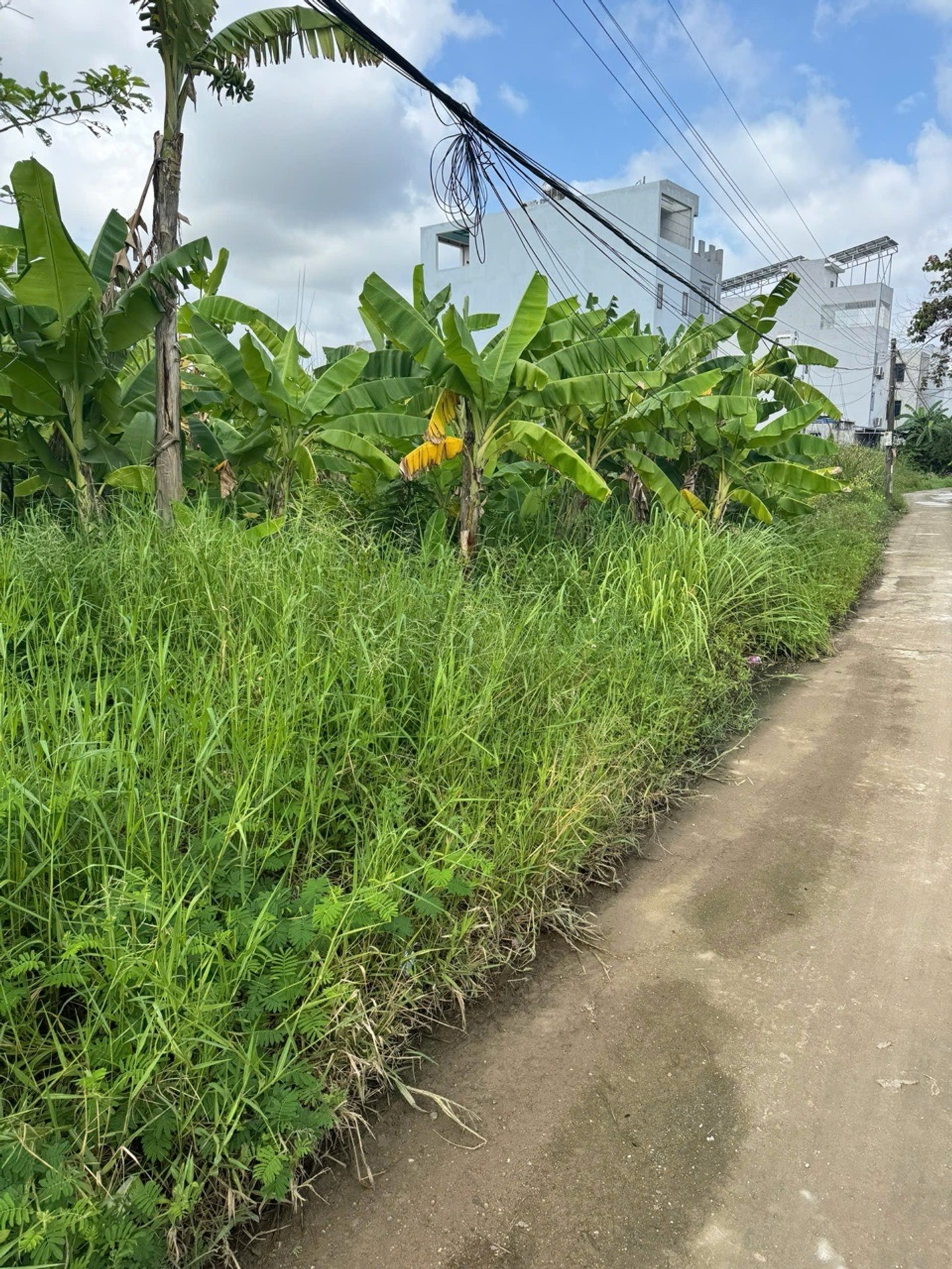 Đất đẹp rộng hơn 300m2 gần trung tâm hành chính Thủy Nguyên