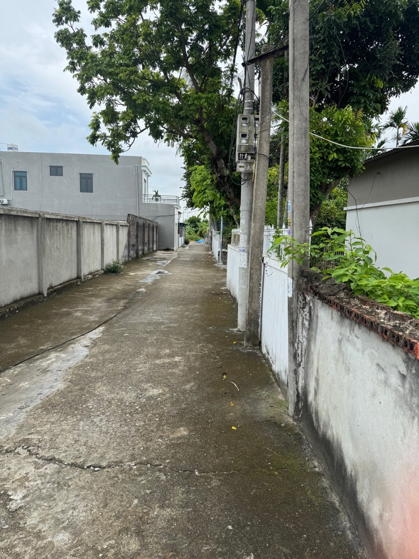 Đất vàng Bát Trang - Cơ hội đầu tư đỉnh cao