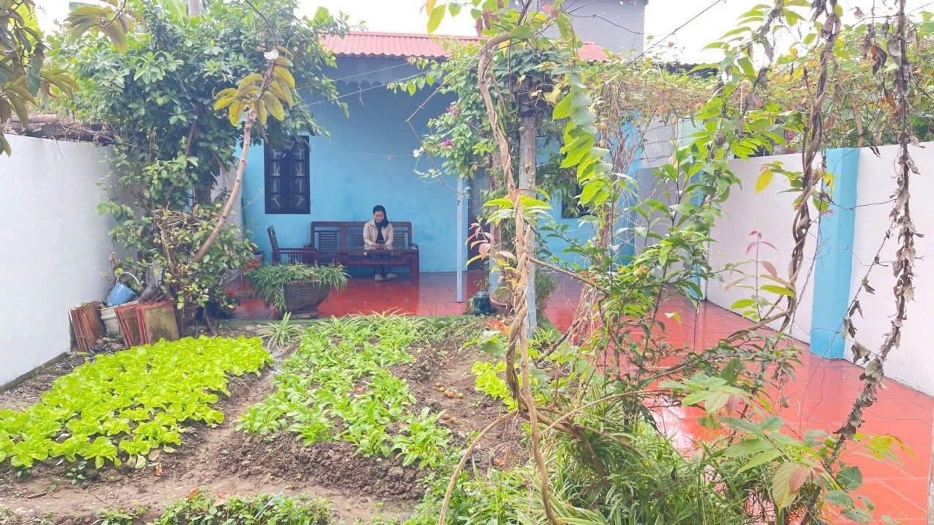 Lô góc đất có nhà cấp 4 đang cho thuê, vị trí thuận tiện