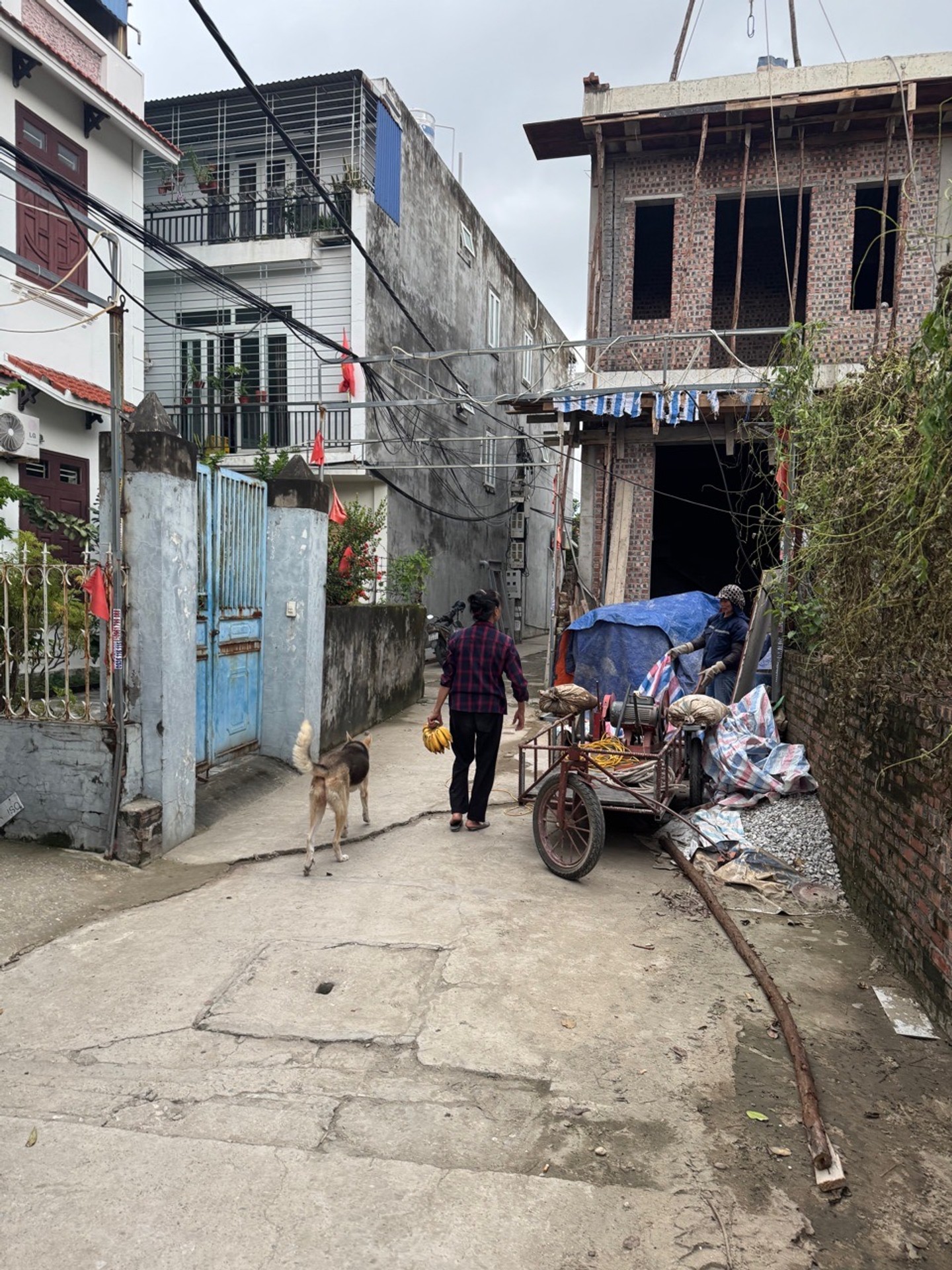 Bán đất 54m² ngõ Bình Kiều, Đông Hải, Hải Phòng