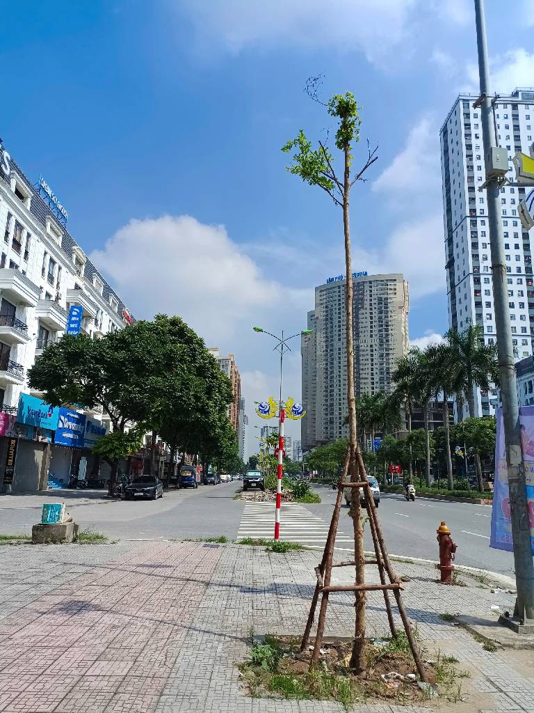 Cơ hội sở hữu nhà mặt phố đắc địa TT11 Văn Phú giá chỉ 28.6 tỷ