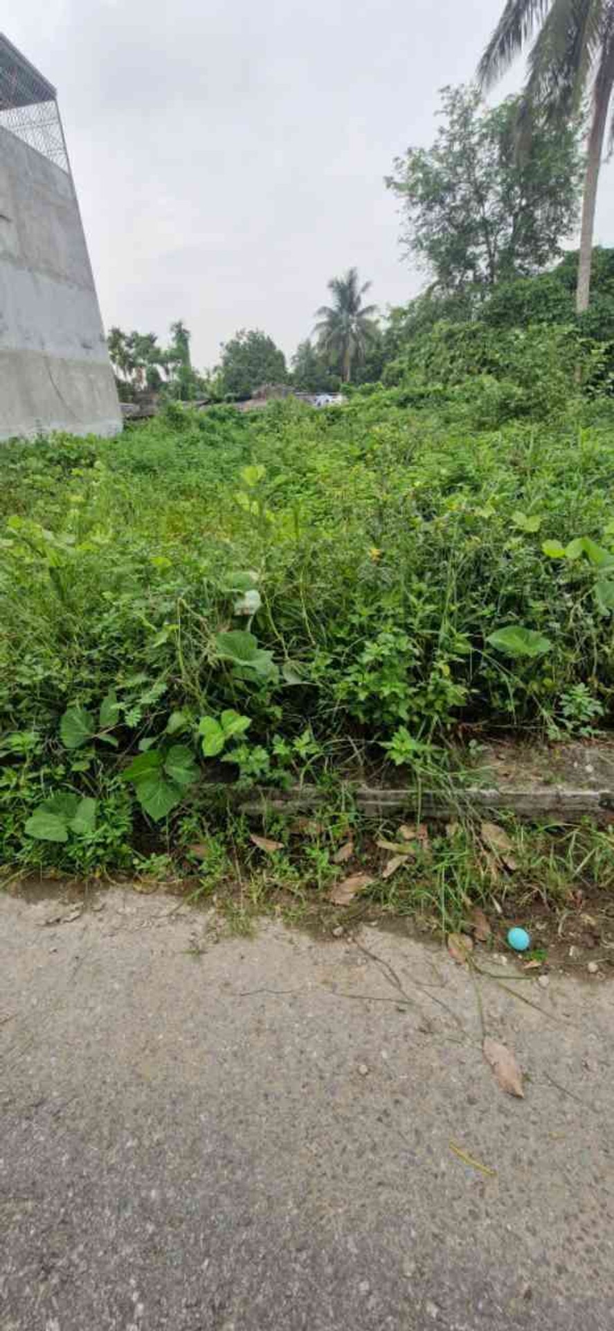 Cơ hội sở hữu đất mặt tiền rộng, vị trí chiến lược giữa hai khu công nghiệp