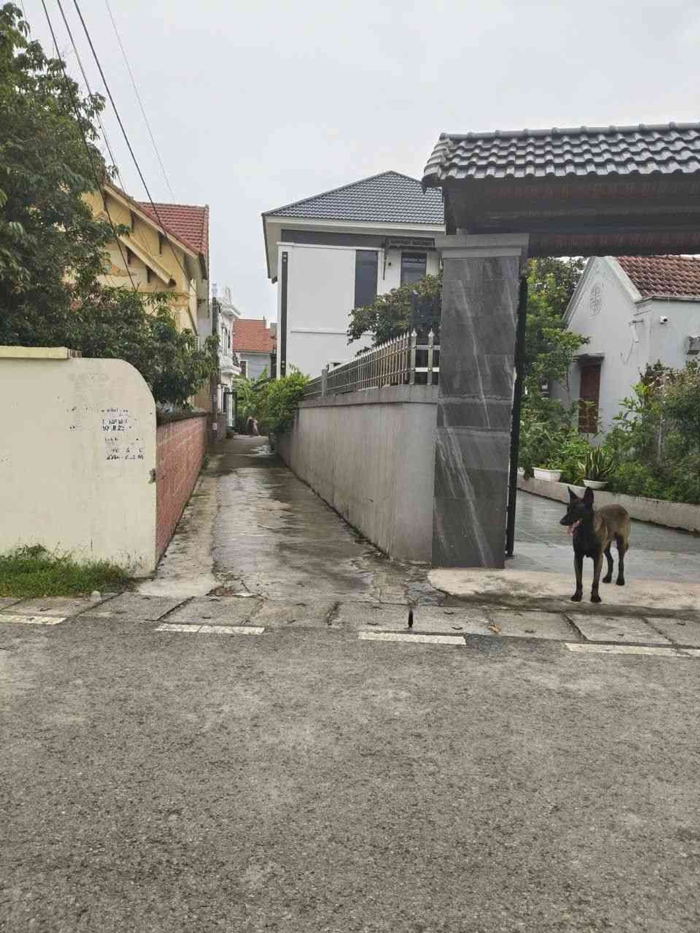 Cơ hội sở hữu lô đất hiếm giữa lòng Hải Phòng phát triển mạnh