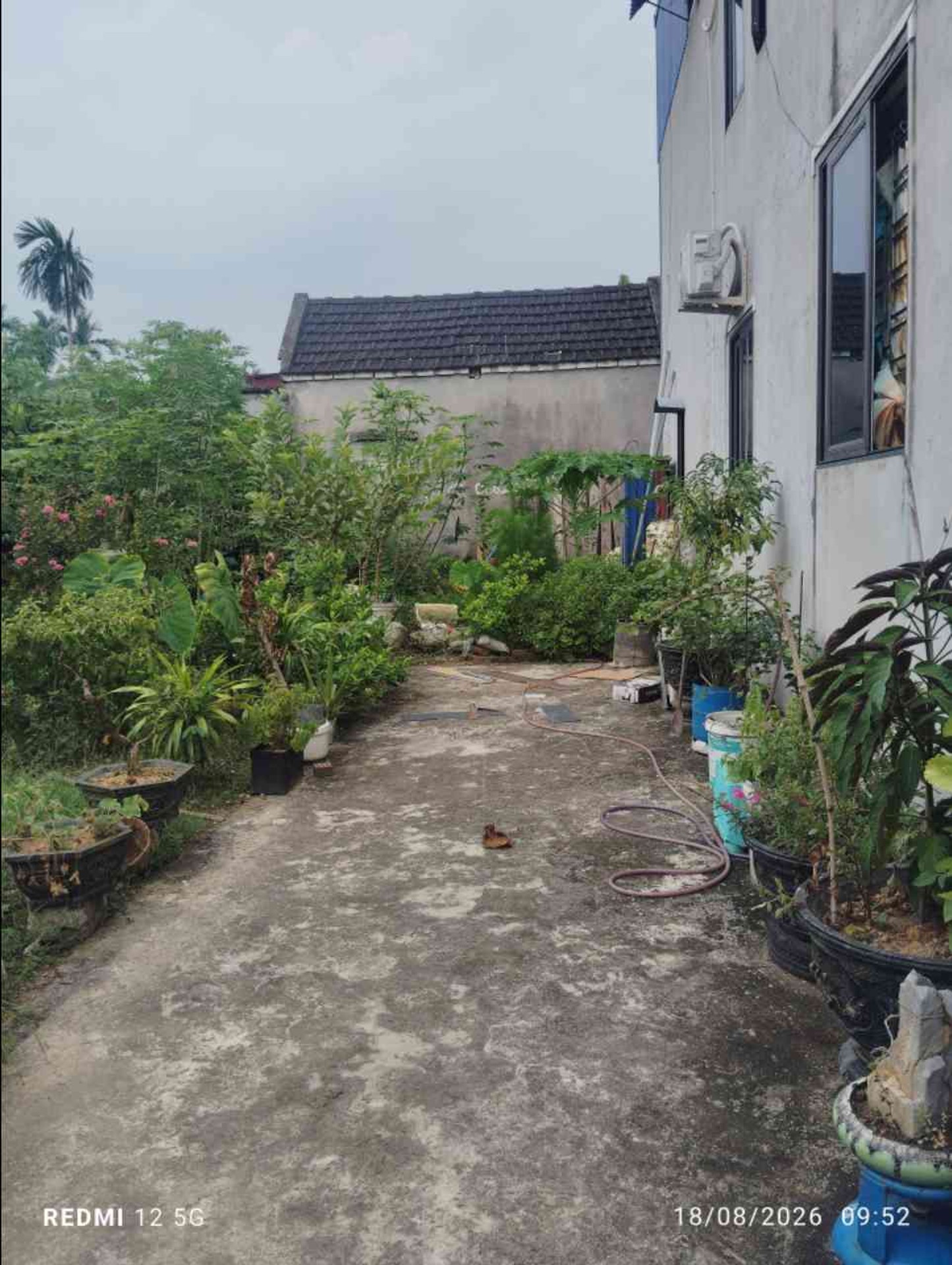 Cơ hội hiếm có sở hữu đất vuông vắn tại Minh Tân, Thủy Nguyên