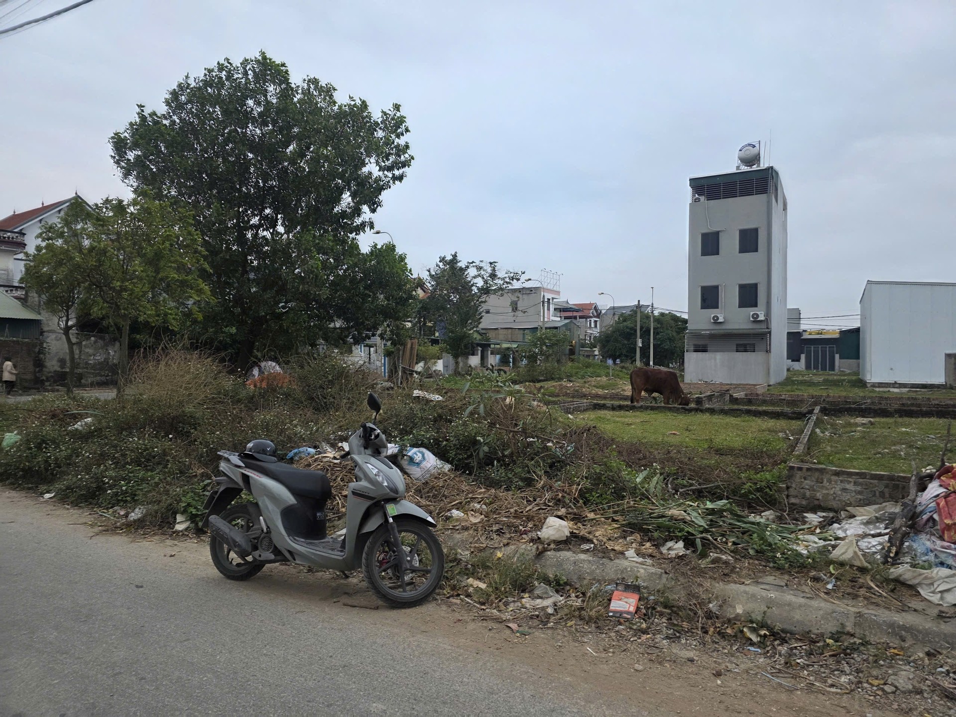 Bán đất thổ cư 80m2 khu đấu giá Thôn Sơn Du, Đông Anh, mặt tiền rộng, pháp lý có sổ
