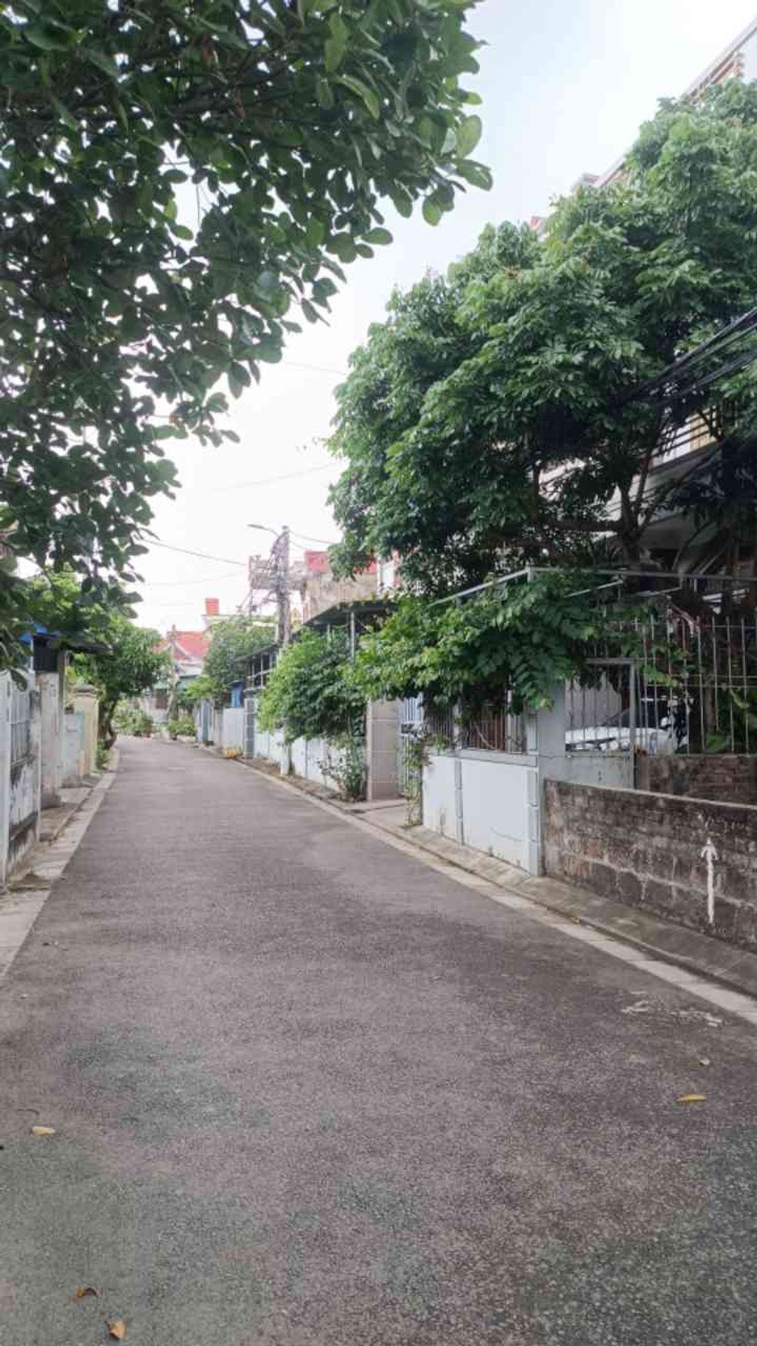 Đất mặt ngõ chính Quỳnh Cư Hùng Vương, diện tích rộng, kinh doanh và đầu tư tiềm năng