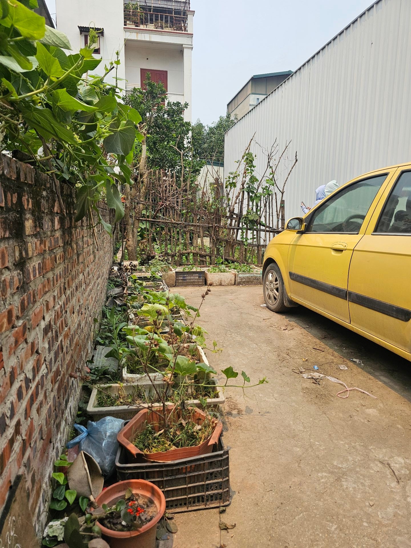 Đất vàng Nhị Khê sổ đỏ lâu dài, ô tô vào tận đất