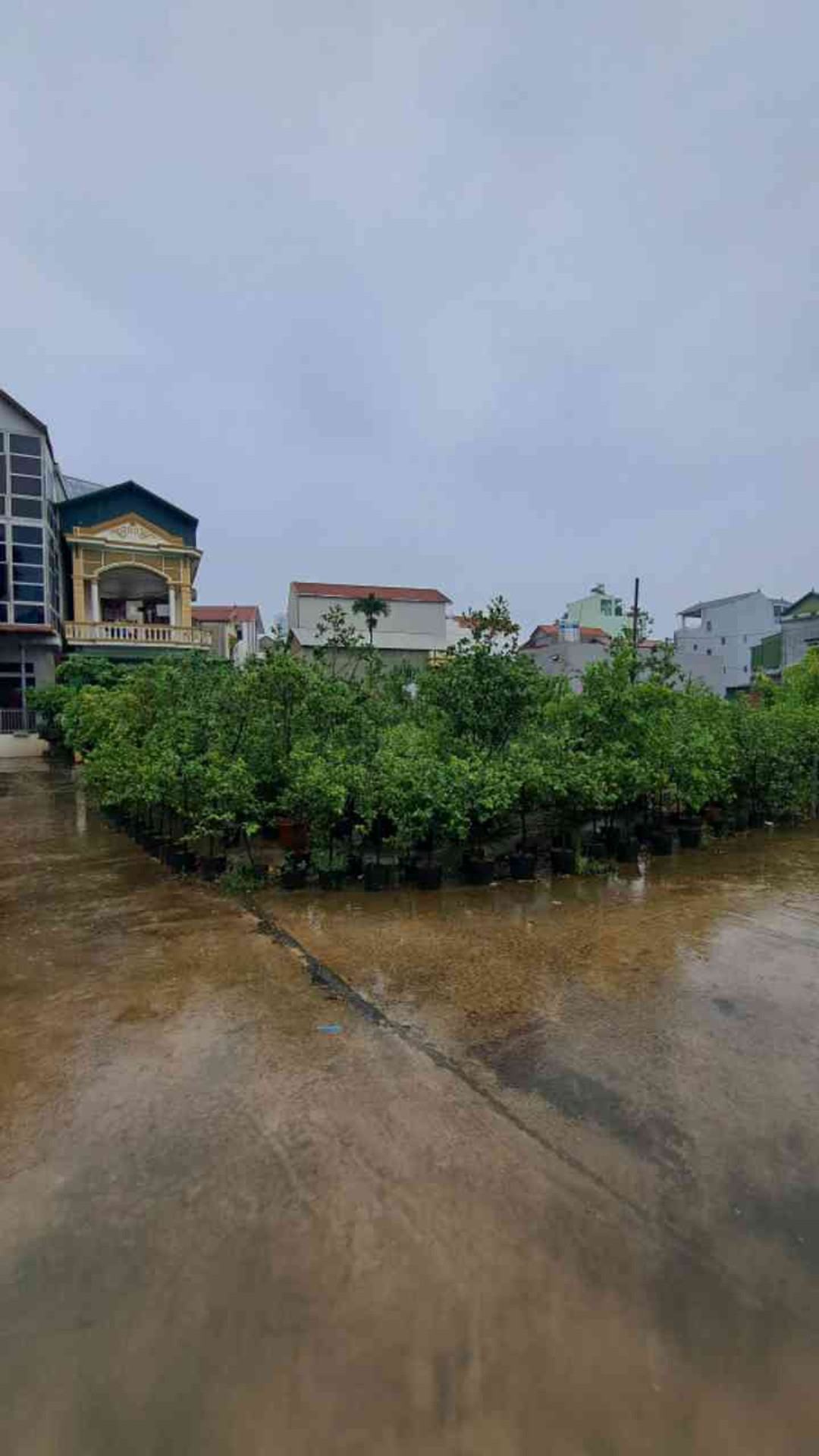 Bán đất thôn Đầu, xã Phụng Công, Văn Giang, Hưng Yên - mặt tiền 6m, đường ô tô 5m