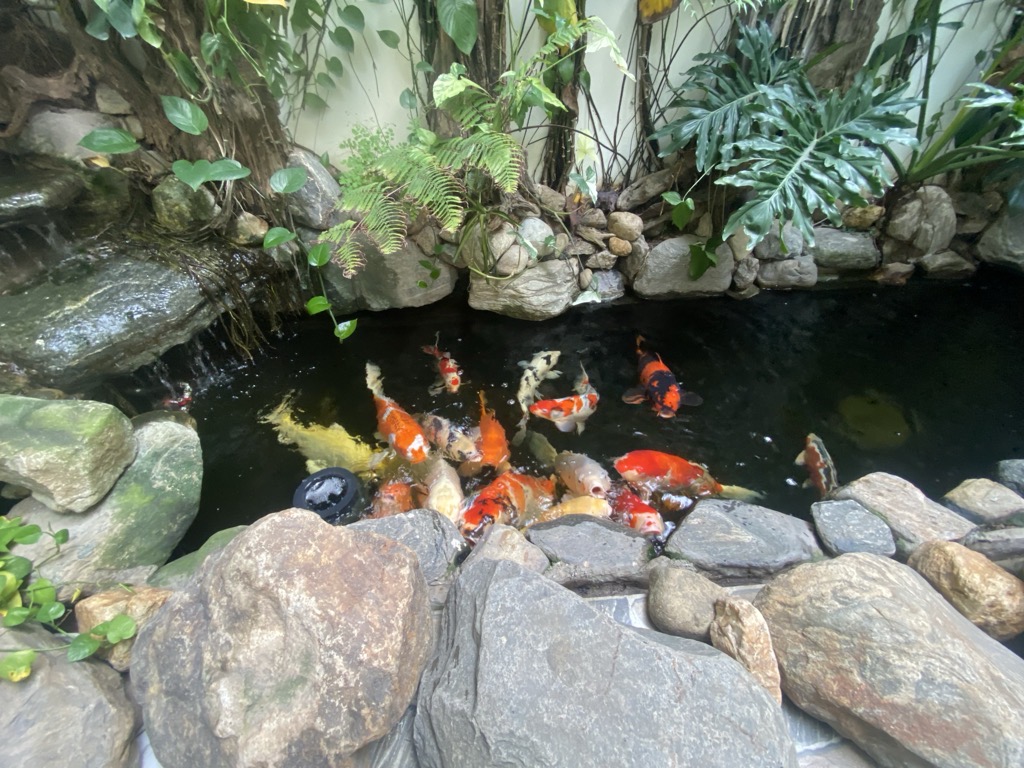 Biệt thự sân vườn, thang máy Hồng Tiến - Giá nào cũng bán