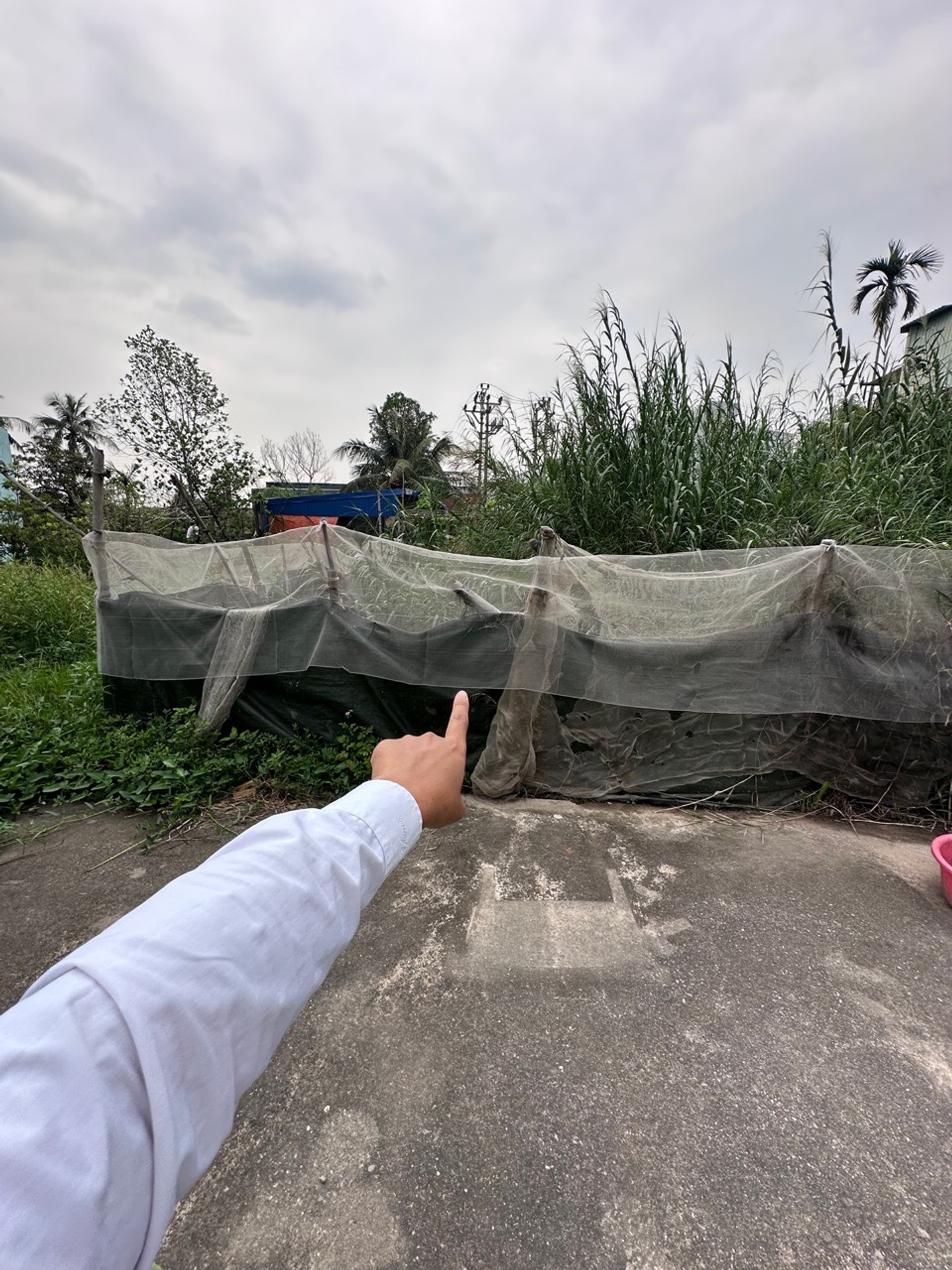 Cơ Hội Sở Hữu Lô Đất Vuông Vắn Đắc Địa Tại Cống Mỹ