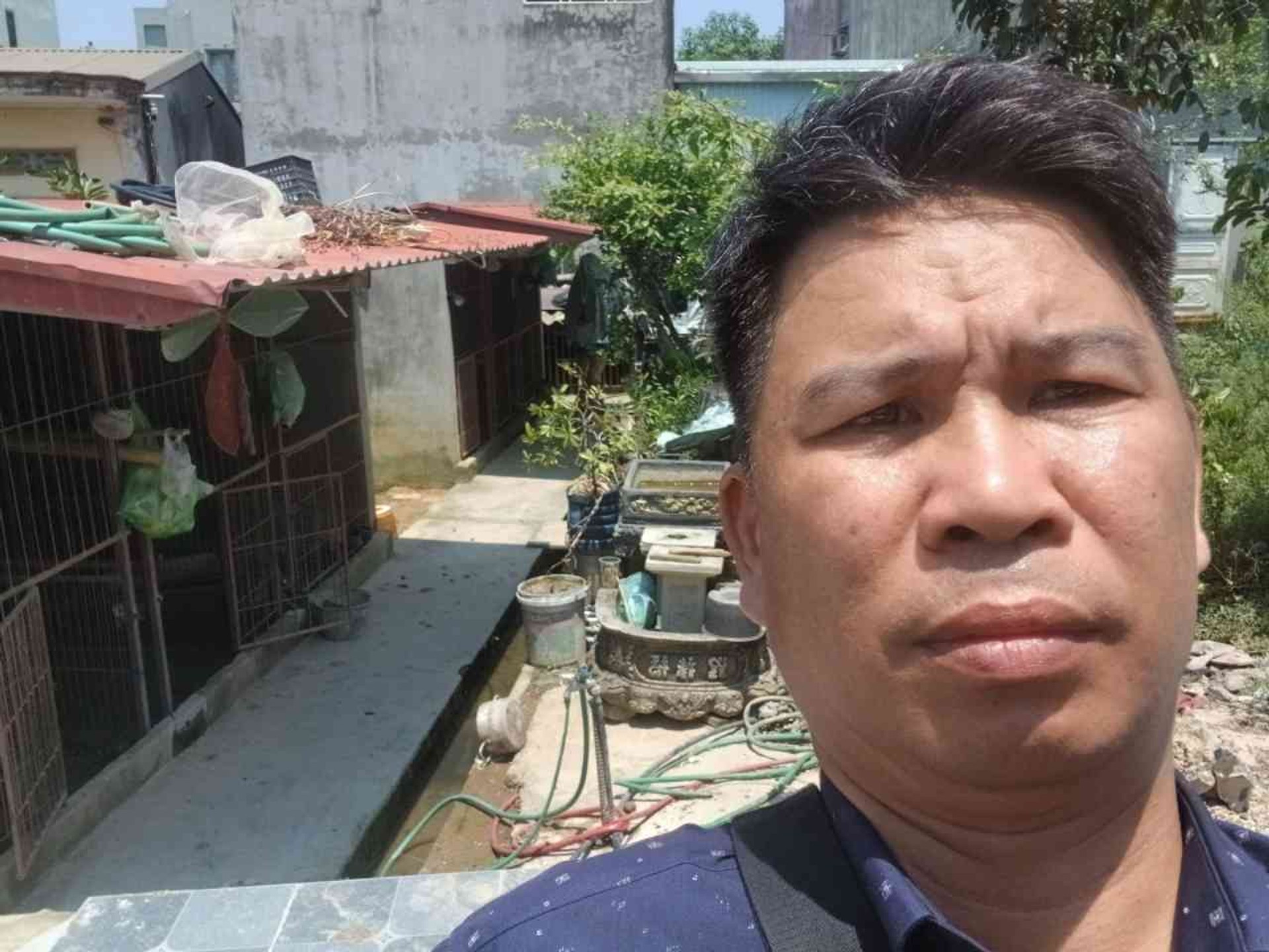 Bán đất tại An Đồng, An Dương, Hải Phòng diện tích 51m² hướng Đông Nam