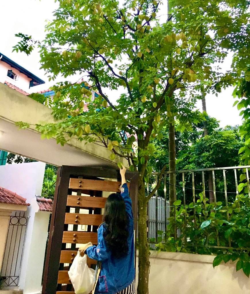 Bán mọi giá nhà sân vườn Thang máy tại Ngọc Thụy, Long Biên